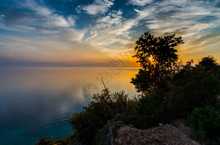 海水和树木植物上方的海边天际大黄夕阳以图片