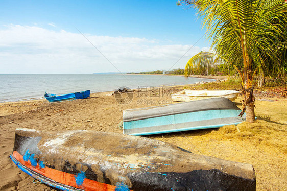 哥斯达黎加PlayaTarc图片