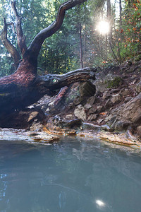由俄勒冈山脉森林环绕的松散热矿物池图片