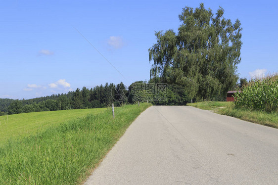 农村公路和绿地景观图片