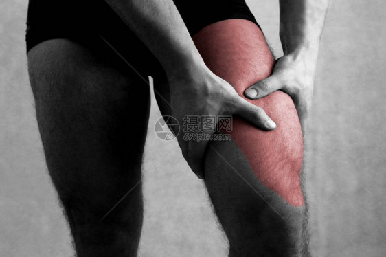 疼痛股四头肌大腿疼痛腿部适合肌肉图片
