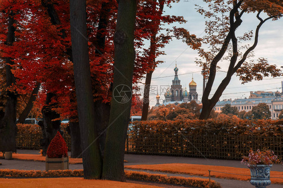 金秋夏日花园圣彼得堡图片