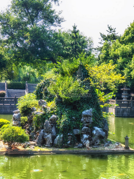 杭州有花园的鱼池图片