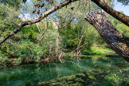 自然公园内风景平静的河床图片
