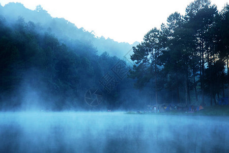 清晨的薄雾与大自然的美丽图片