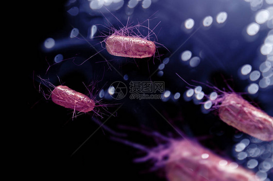 大肠埃希氏菌又称大肠菌健康科学概念图片