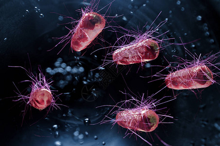 大肠埃希氏菌又称大肠菌健康科学概念图片