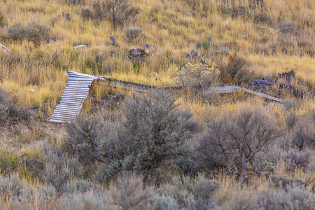 自行车试验功能可在山间小道上探索位于犹他州萨拉托加斯普林斯的犹他谷土路通向由木板制成的木坡道图片