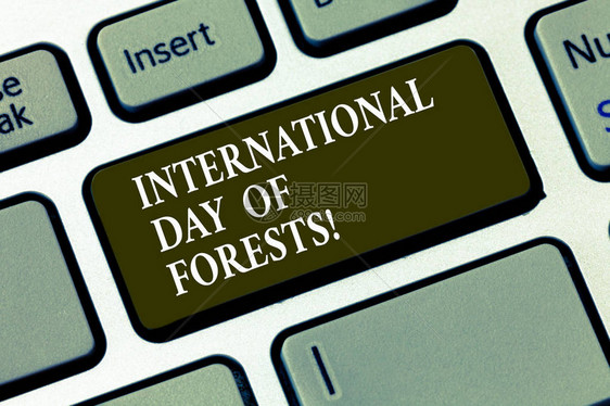 手写文字国际森林日概念意义自然环境庆祝活动键盘意图创建计算机消图片