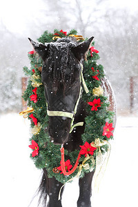 梦幻的圣诞节形象马在雪瀑上戴图片