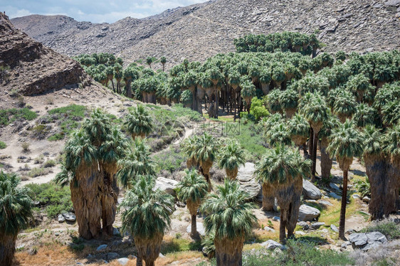 在科切拉山谷棕榈泉加利福尼亚州附近的印度峡谷的岩石地貌中图片