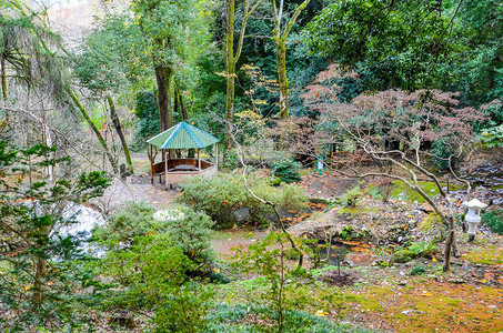 秋季植物园中的日本庭院巴统图片