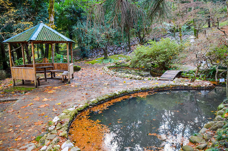 秋季植物园中的日本庭院巴统图片