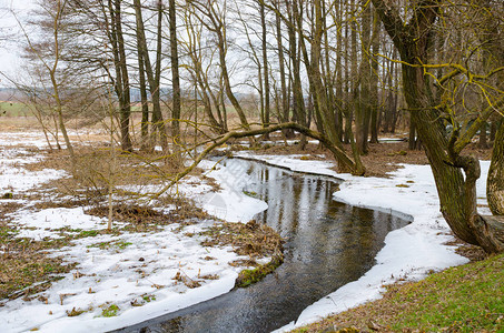 蜿蜒的河水流过春雪图片