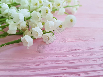 粉红色木质背景上的铃兰枝图片