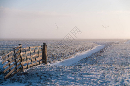 荷兰弗赖斯兰省雪地带的栅栏和沟渠照片来自罕见图片