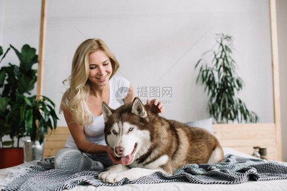 女与哈士奇玩耍可爱的卷发女人和可爱的狗合影留念模特坐在舒适的家中的床上幸福生活的完美公寓成功的图片
