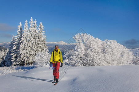 在美丽的雪地喀尔巴阡山脉的木滑雪上骑着木滑图片