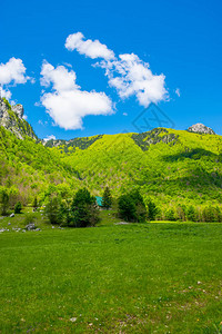 高峰岩石背景上风景秀丽的绿色草地图片