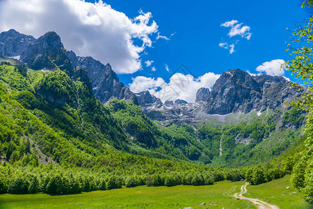 高山间风景如画的草地和森林图片