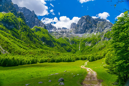 高山间风景如画的草地和森林图片