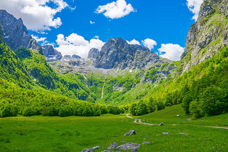 高山间风景如画的草地和森林图片