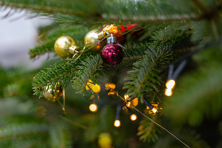 12月到来时树上的圣诞背景图片