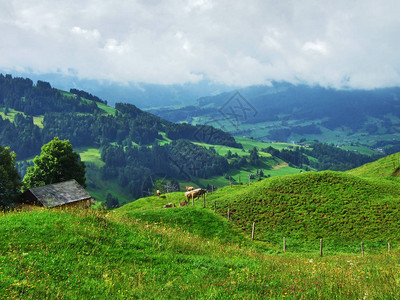 东瑞士地区的农场和牧场瑞图片