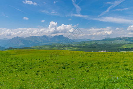 黑山北部Durmitor公园的绿图片