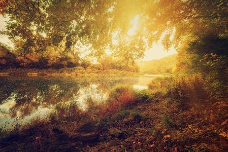 美丽的阳光明媚的秋天风景在水中反图片