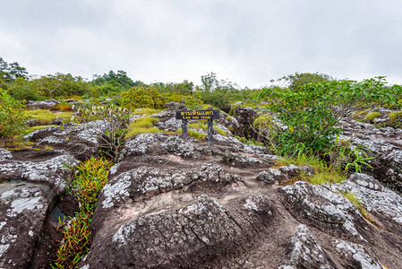 兰欣柚木铭牌和石形奇特的大石院是泰国彭世洛府富欣荣克拉公园著名的图片