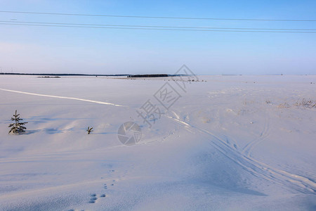 冬天的夕阳在雪地里玩耍图片