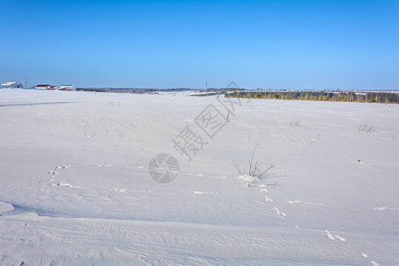 冬天积雪的田野图片