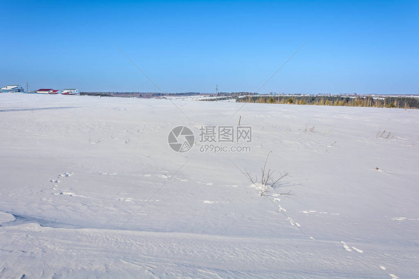 冬天积雪的田野图片