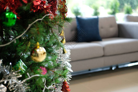 客厅装饰的圣诞树和灰色沙发十月举行图片