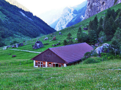 在瑞士格拉鲁斯州Sandbach小溪SandbachCreek山谷的图片