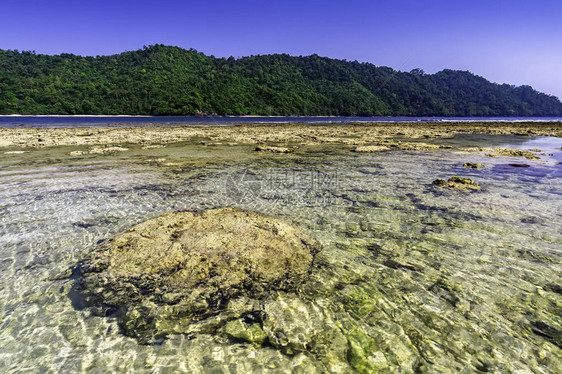 从TelukKiluuanCoconut岛的海滩到周围乡村图片