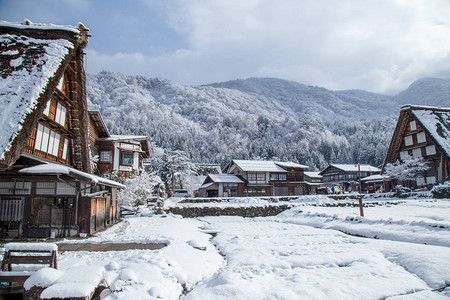 在白川果村周围观光图片