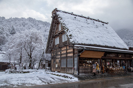 冬季的白川果村图片