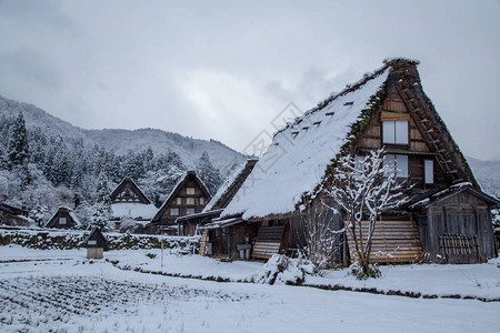 冬季的白川果村图片