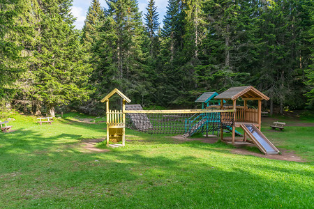 儿童,森林白天在森林里的儿童游乐场背景