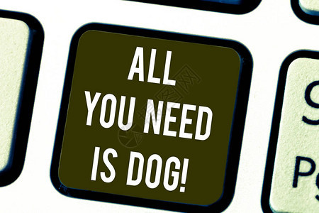 写笔记显示你只需要狗商业照片展示让小狗变得更快乐的犬类爱好者可爱的动物键盘意图创建计算机消息背景图片