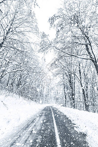 冬林雪道林道冬雪观图片