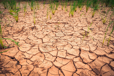 地面干旱_地面干旱图片_地面干旱图片素材大全_摄图网