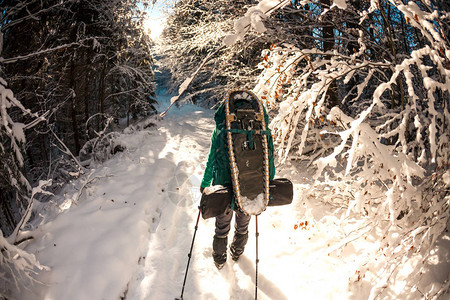 风景优美的地方带登山杖的金发女郎一位游客穿过白雪皑的森林女背景