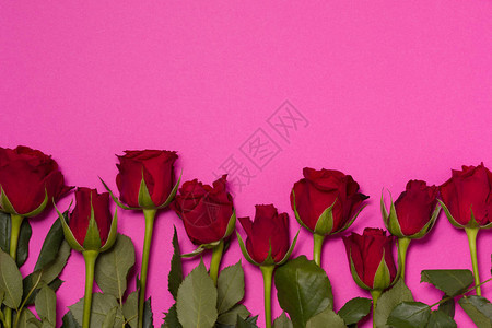 情人节背景无缝的粉红背景和红玫瑰边界图片