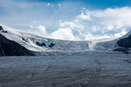 Athabaasca冰川在冰田公园沿途的景象图片