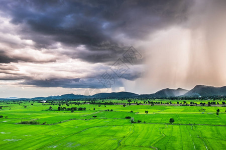 暴雨落山稻田北碧图片