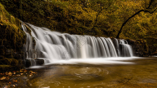威尔士布雷肯信标公园pontneddfechan附近的瀑布DdwliIsaf秋天到了图片