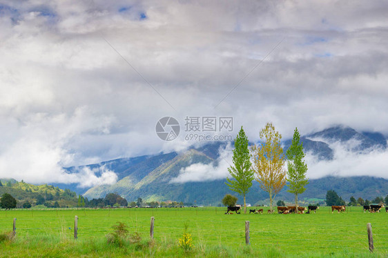 太阳穿过云层的天空向着山坡两边和下方山谷加上三棵图片